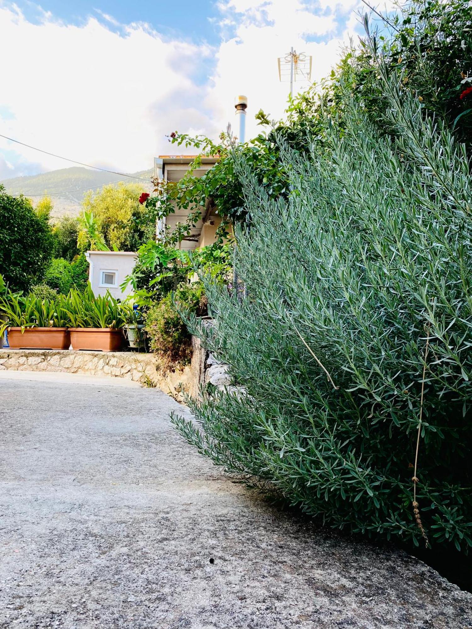 Villa Katoικια Lourdata  Esterno foto